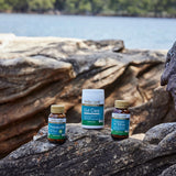 Herbs of Gold Probiotic 60 Billion
