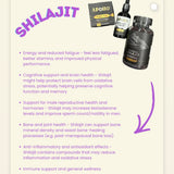 Apollo Neutraceuticals Silajit Gummies