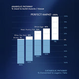 Bodyhealth Perfect Amino